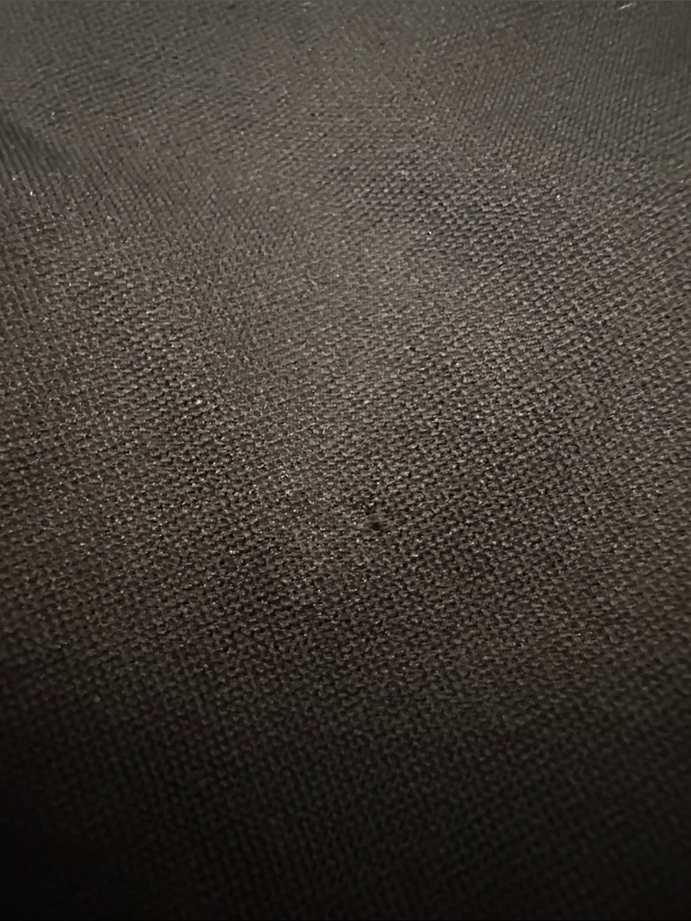 Essential Black Cropped Crewneck Tee - Picture 7 of 7